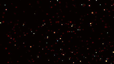 Sparkling lights dance in the night sky at local celebration