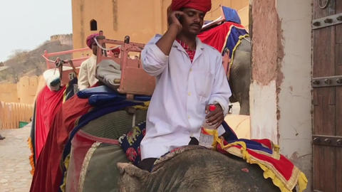 Jaipur, India, 05.20.2019 Elephant ride spectacle, Elegant elephant excursion through
