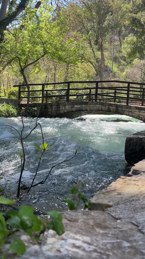 Nice summer views. Refreshing river flowing under a wooden bridge
