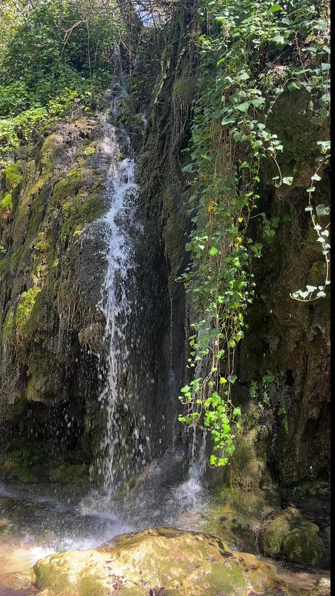 Calming cascade in the middle of a green forest. Peace and well-being concepts