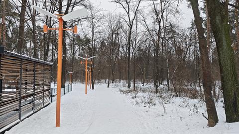 Snow covered park pathway with modern orange street lights among bare trees in winter forest. Urban 