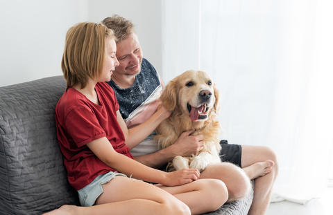 Happy Family of Dad And Little Daughter Pet Golden Retriever Dog
