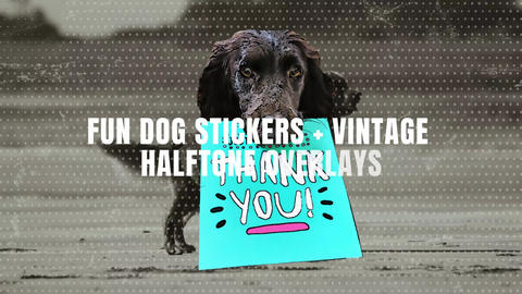 18 dog Collage Elements And Halftone Overlays For Ae