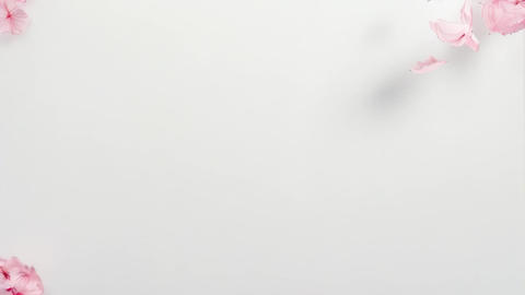 자연