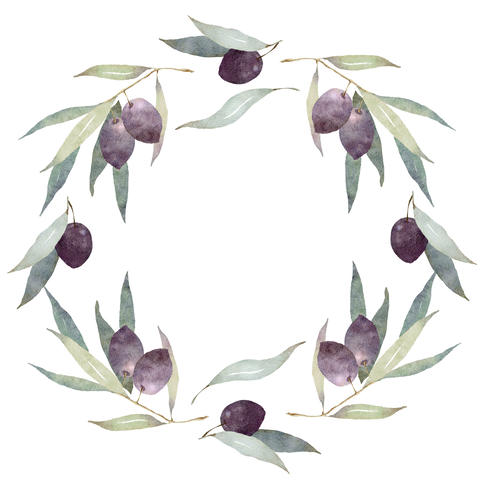 Watercolor olives circle frame background with leaves and dark berries