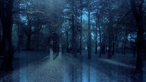 Haunt 03