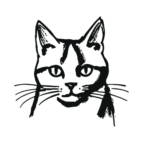 Beautiful feline cat face illustration with detailed whiskers and expressive eyes drawing