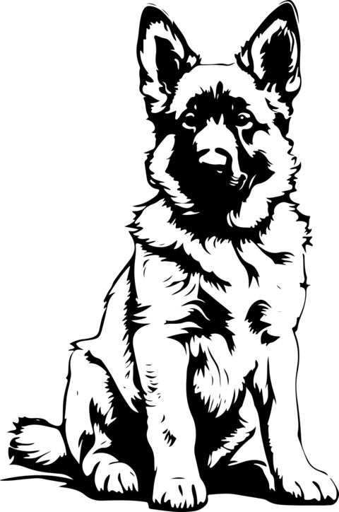 Excellent and lovely german shepherd dog vector art