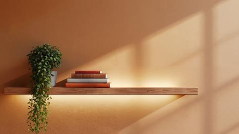 A wooden shelf holds a green plant and stacked books