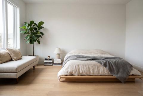 Bright minimalist bedroom with low bed bench and large potted plant