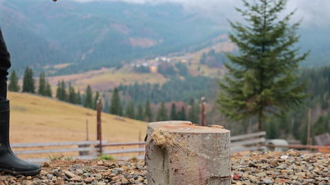 Large rustic wooden tree stump for chopping firewood in foreground area, beautiful atmospheric green