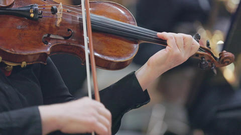 Woman playing violin in symphony orchestra concert