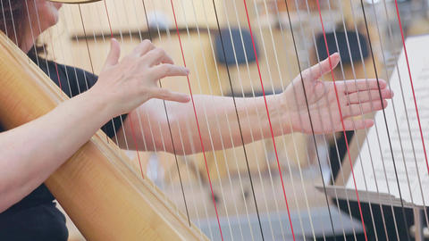 Female harpist hands plucking harp strings