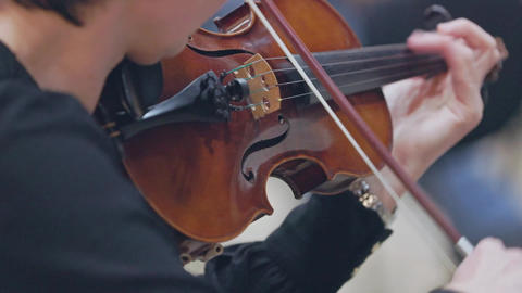 Professional musician playing violin in orchestra