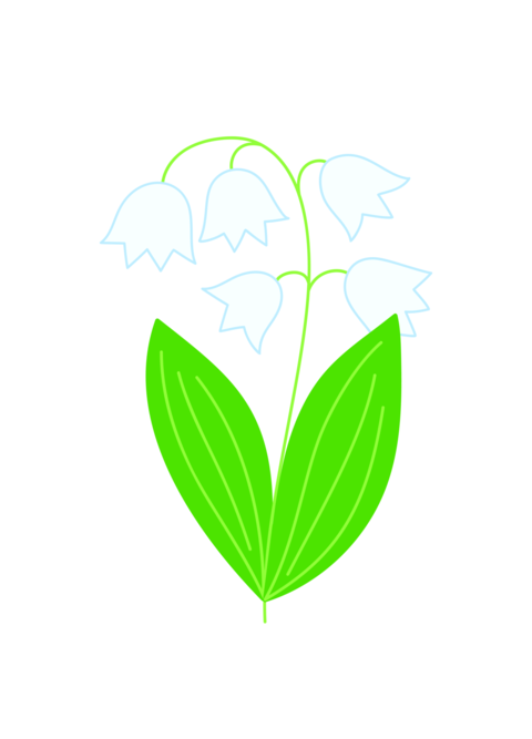 Fancy lily of the valley flower, simple hand drawn illustration, spring garden