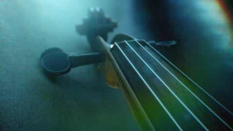 Violin Logo - 5