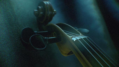 Violin Logo - 7
