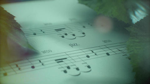 Violin Logo - 8