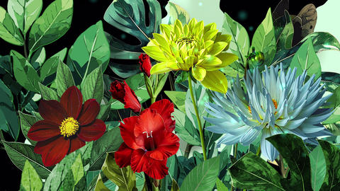 Flower & plants transition with alpha channel