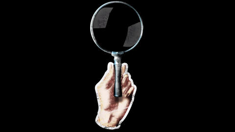 Search Magnifying Lens