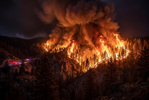 Night forest wildfire with flames on pine trees in mountains