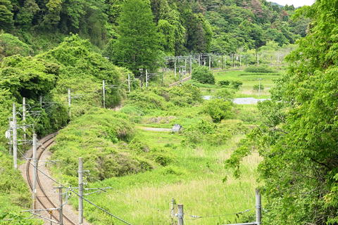Railways in Nature