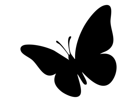 Black silhouette of butterfly with open wings, isolated on white background, graphic illustration