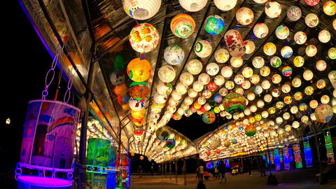 20250211 Lanterns for the Lantern Festival at Ren'ai ParkS gopro 4k60p 02
