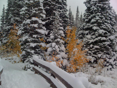 A Person On A Snowboard In The Snow