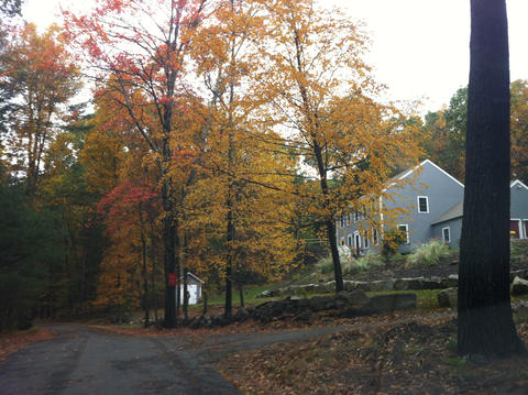 A House In The Woods