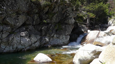 Naturaleza