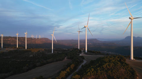 Wind turbines generating renewable energy at sunset