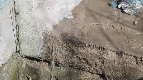Urban drainage issue. Concrete edge with wastewater buildup. Algae and stains indicate drainage