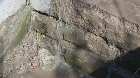 Dilapidated water drainage. Cracked wall with algae growth. Moss and grime signal drainage issues