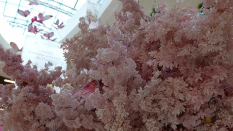 Slow smooth camera move across pink floral decoration with butterfly elements in modern shopping