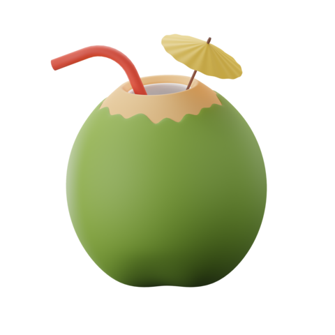 Coconut Drink 3D Icon