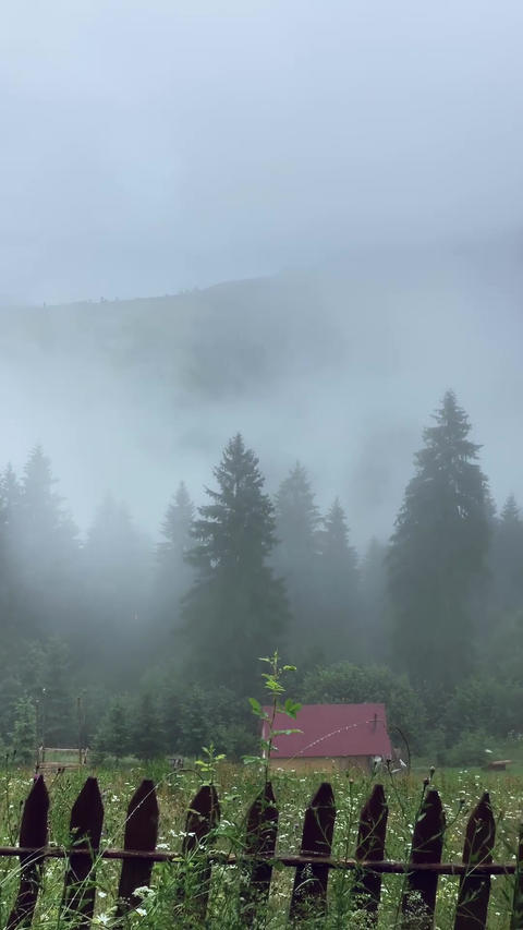 Misty Mountain Forest Panorama in Vertical Format with Fog Rolling Through Trees