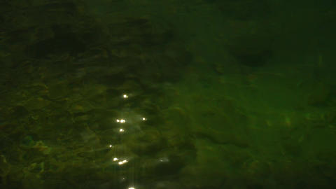 Natur