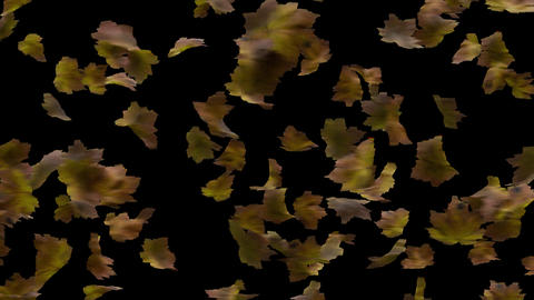 Wind-Blown Leaves Drifting Horizontally Loop with Alpha Channel