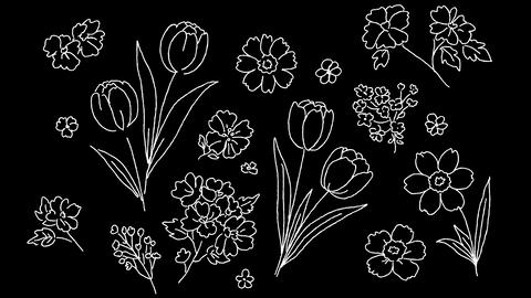 A simple line-art illustration animation of spring flowers / hand drawing