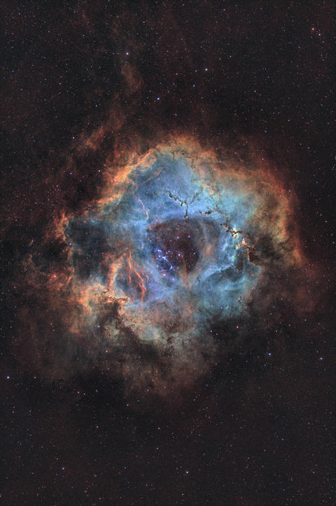 Astro photo of the Rosette Nebula in Hubble SHO Color palette