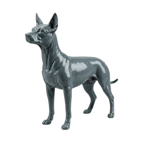 Glossy grey porcelain Xoloitzcuintli dog figurine standing with hairless skin texture