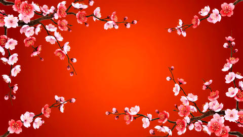 Swaying cherry blossom on vibrant red background