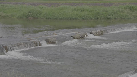 The surface of water flowing over a weir on a wide river on a sunny day