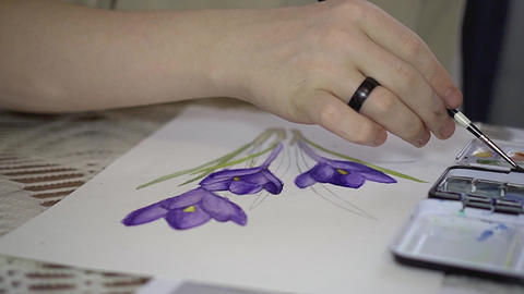 Artist painting purple crocuses with watercolor, botanical illustration and