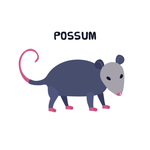 Possum icon clipart logtotype isolated vector illustration
