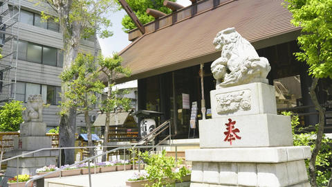 Japan Shinto Shrine Hall and Guardian Dog Zoom In