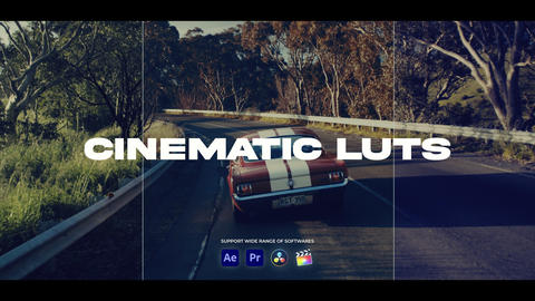 LUTs