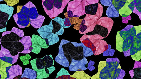 Vine leaf motif overlay multicolored pattern animation