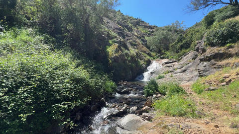 View of a beautiful and healthy forest river in the Monchique region